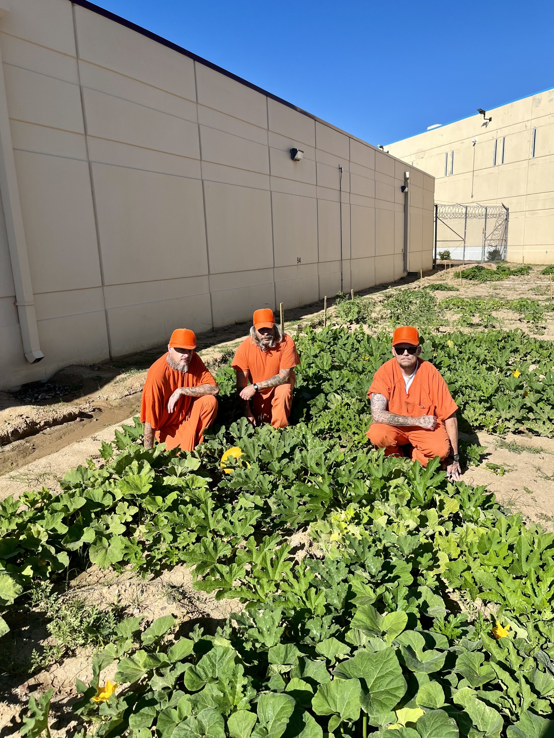 Inmates gardening