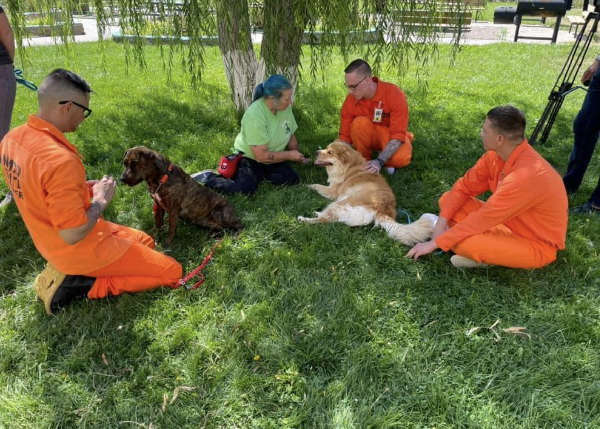 Inmates training dogs