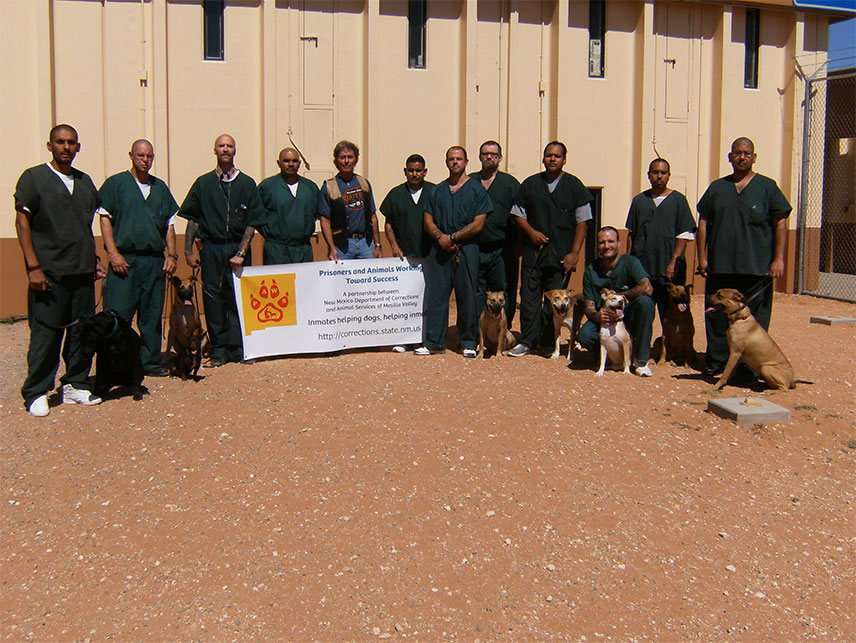 Prisoners and Animals Working Toward Success team